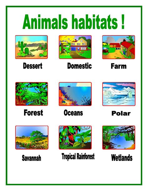 animals and habitats for kids.